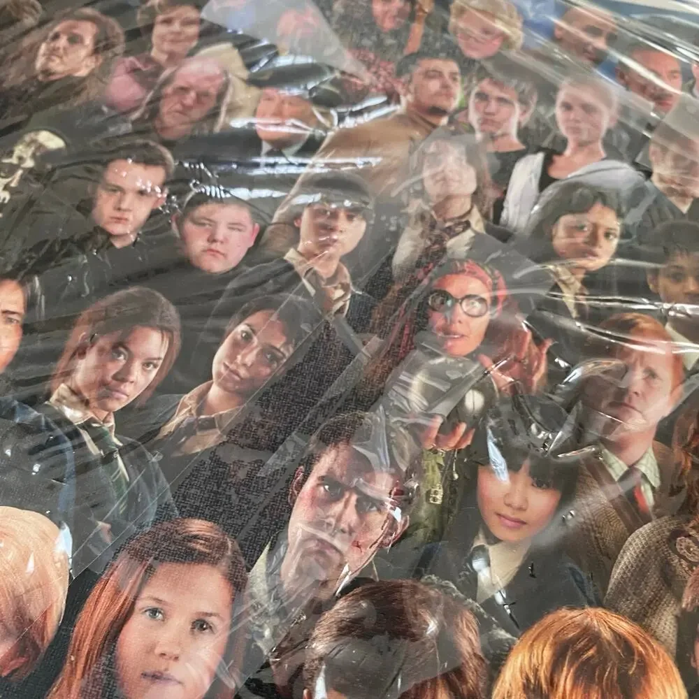🌿Ravensburger Harry Potter 1000P Character Challenging Puzzle